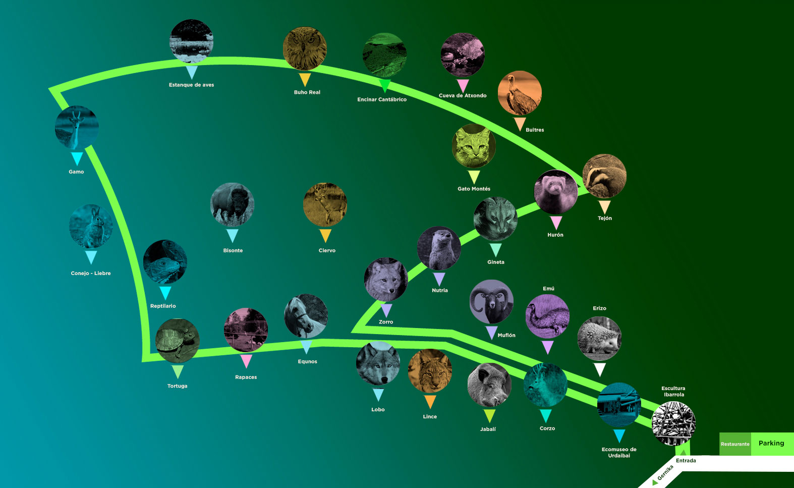 Basondo, Refugio de Fauna Urdaibai